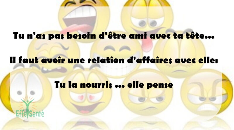 Tu n'a pas besoin d'être amis avec ta tête