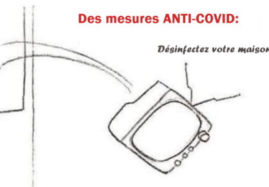 coronavirus, SRAS, Grippe, virus, maladies infectieuses, covid-19, covid, choléra, Ébola