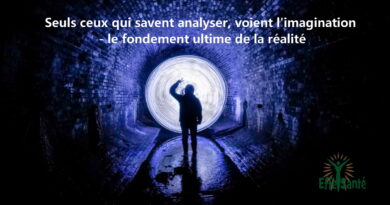citations, pensées du jour, etc