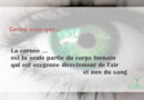 La cornée est la seule partie du corps humain qui est oxygénée directement de l'air et non du sang