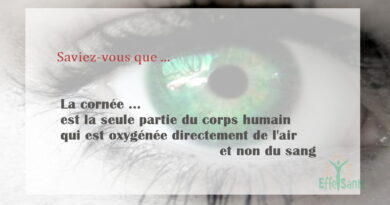 La cornée est la seule partie du corps humain qui est oxygénée directement de l'air et non du sang