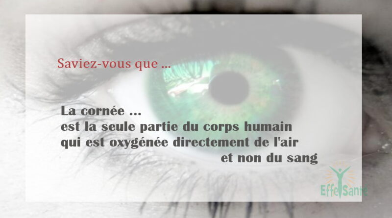 La cornée est la seule partie du corps humain qui est oxygénée directement de l'air et non du sang