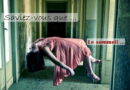 Saviez-vous que ...