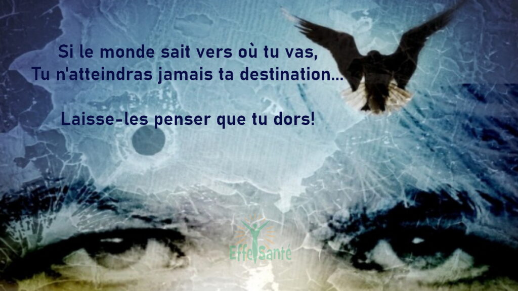 Si le monde sait vers où tu vas, Tu n'atteindras jamais ta destination... Laisse-les penser que tu dors!