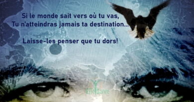 Si le monde sait vers où tu vas, Tu n'atteindras jamais ta destination... Laisse-les penser que tu dors!