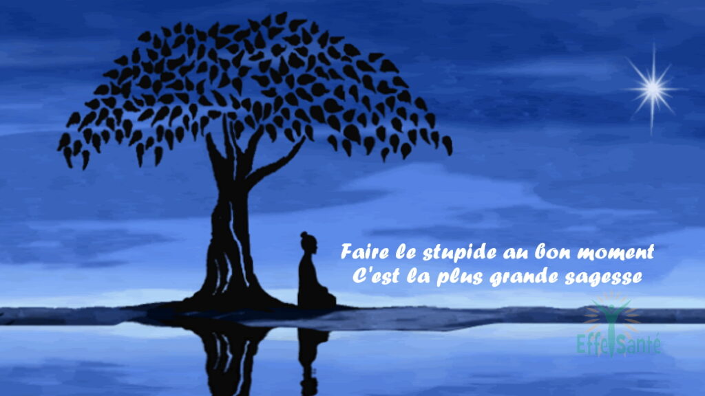 Faire le stupide au bon moment C'est la plus grande sagesse.