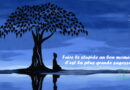 Faire le stupide au bon moment C'est la plus grande sagesse.