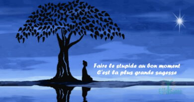 Faire le stupide au bon moment C'est la plus grande sagesse.