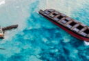 écologie, catastrophe écologique