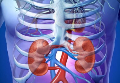 transplant des reins, marché noir des organes