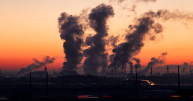 pollution, coronavirus, SRAS, Grippe, virus, maladies infectieuses, covid-19, covid, choléra, Ébola