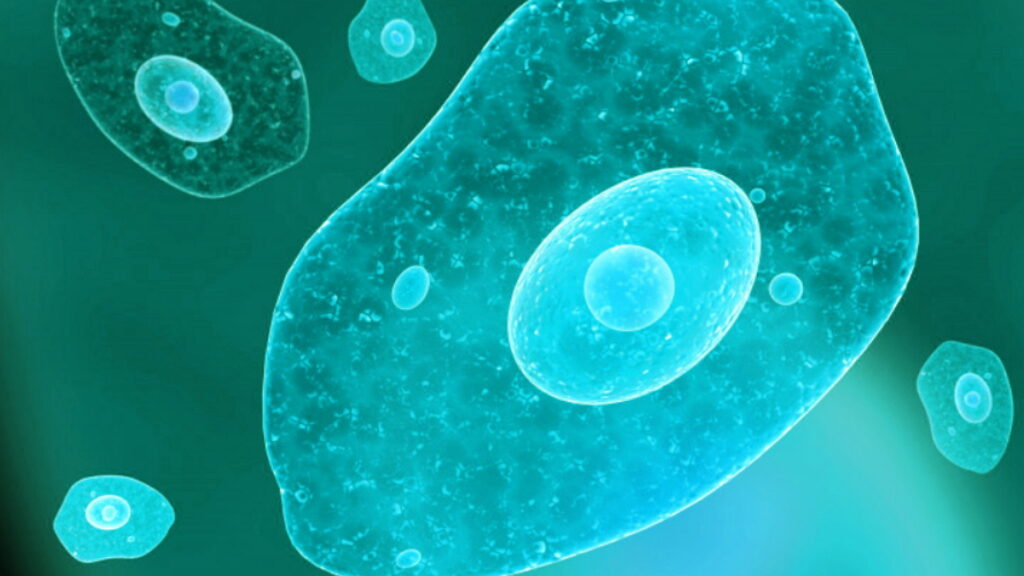 Microbes dans l'eau, des microbes dangereux dans l'eau potable