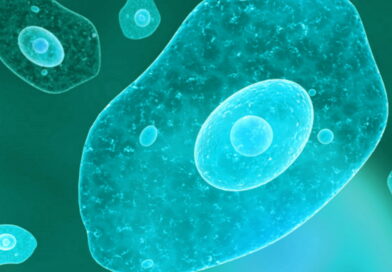 Microbes dans l'eau, des microbes dangereux dans l'eau potable
