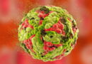coronavirus, SRAS, Grippe, virus, maladies infectieuses, covid-19, covid, choléra, Ébola