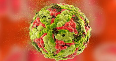 coronavirus, SRAS, Grippe, virus, maladies infectieuses, covid-19, covid, choléra, Ébola