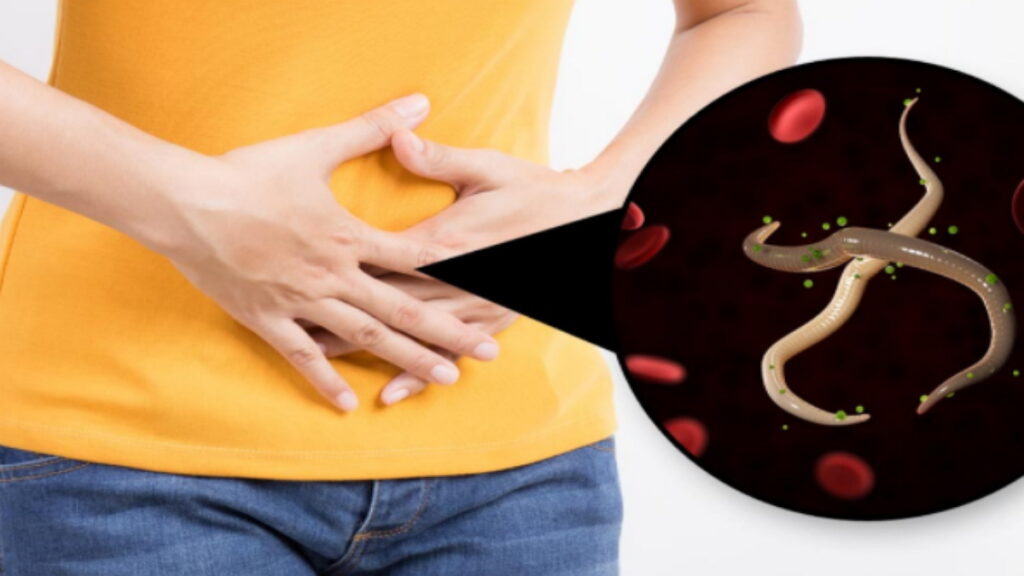 les parasites dans nos corps, parasites et comment les traiter