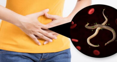les parasites dans nos corps, parasites et comment les traiter