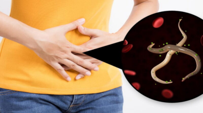 les parasites dans nos corps, parasites et comment les traiter