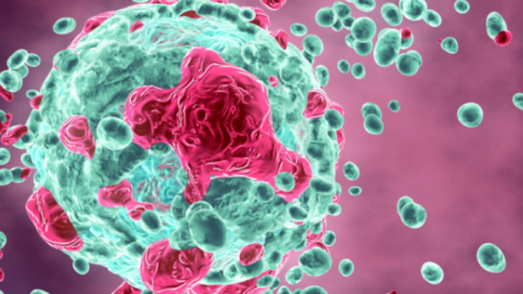 cancer, le cancer, pourquoi apparaît le cancer