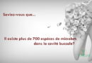 Il existe plus de 700 espèces de microbes dans la cavité buccale?