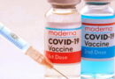 coronavirus, SRAS, Grippe, virus, maladies infectieuses, covid-19, covid, choléra, Ébola