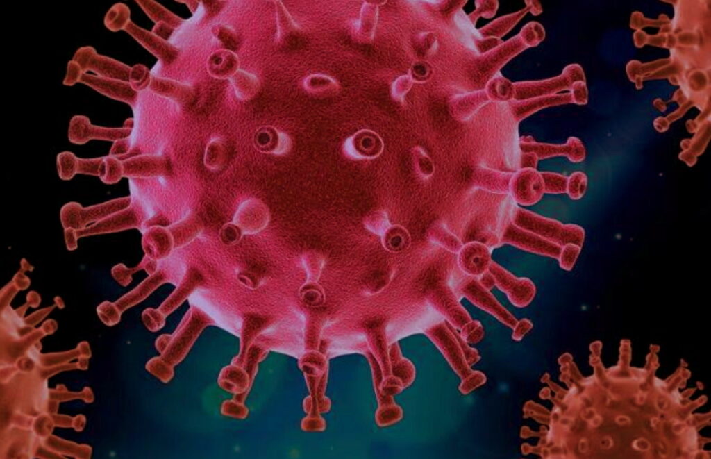 coronavirus, SRAS, Grippe, virus, maladies infectieuses, covid-19, covid, choléra, Ébola