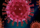 coronavirus, SRAS, Grippe, virus, maladies infectieuses, covid-19, covid, choléra, Ébola