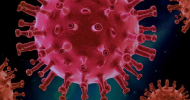 coronavirus, SRAS, Grippe, virus, maladies infectieuses, covid-19, covid, choléra, Ébola