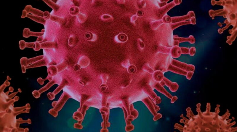 coronavirus, SRAS, Grippe, virus, maladies infectieuses, covid-19, covid, choléra, Ébola