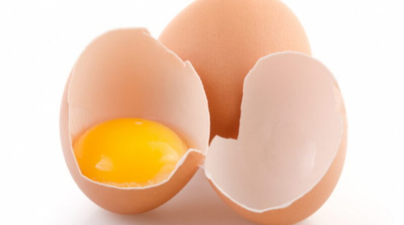 les calories, les oeufs