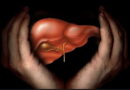maladies du foie, traitement foie