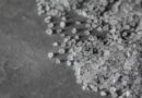 consommation de sel, le sel, bienfaits du sel, le sel gemme