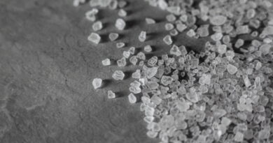 consommation de sel, le sel, bienfaits du sel, le sel gemme