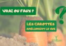 Vrai ou Faux : Les carottes améliorent la vue