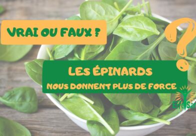 Vrai ou Faux: Les épinards nous donnent plus de force