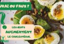Vrai ou Faux: Les œufs augmentent le cholestérol