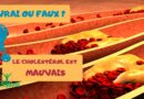 Vrai ou Faux: Le cholestérol est mauvais