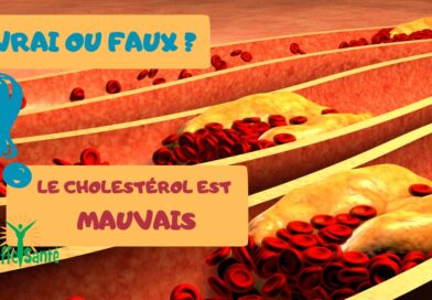 Vrai ou Faux: Le cholestérol est mauvais