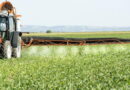 L&rsquo;impact des pesticides sur la santé humaine