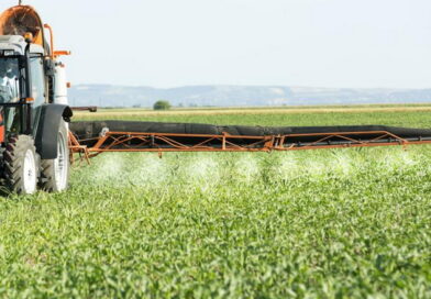 L&rsquo;impact des pesticides sur la santé humaine