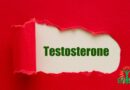 Les superpouvoirs cachés de la testostérone chez les femmes