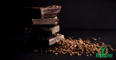 7 raisons de manger du chocolat