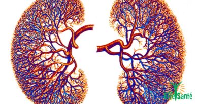 Les Secrets des Remèdes Naturels pour Préserver la Santé de vos Reins