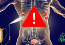 Perturbateurs endocriniens invisibles: Comment ils détruisent lentement notre corps