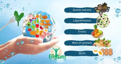 10 Aliments Économiques et Énergétiques pour une Alimentation Saine