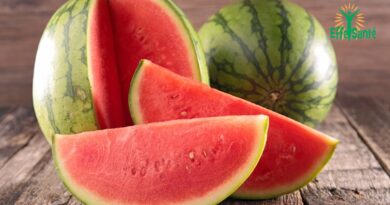Les bienfaits du melon d&rsquo;eau : un allié rafraîchissant pour votre santé