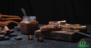 Recette de pâte à tartiner chocolatée sans allergènes