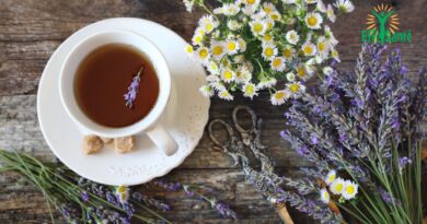 Recette santé contre l&rsquo;insomnie