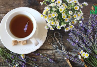 Recette santé contre l&rsquo;insomnie