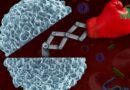 3 signes qui révèlent un système immunitaire affaibli